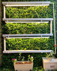 Wally 32 – Fixed Wall Hydroponic Gardening System