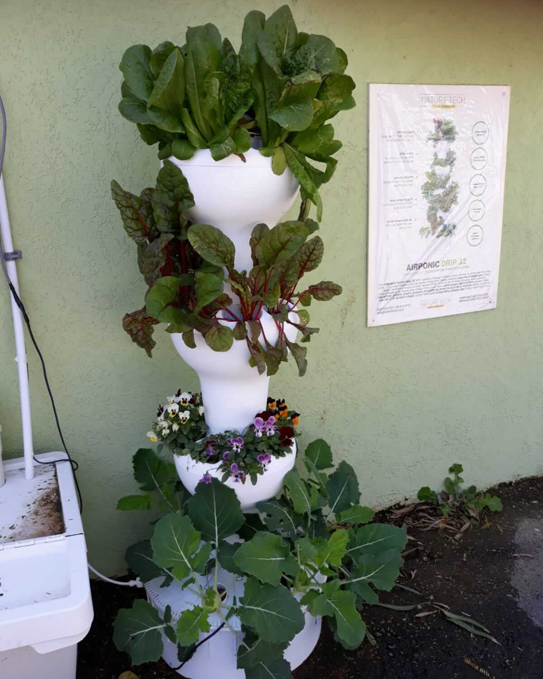 Airponic Fruit - Hydroponic Tower Garden System